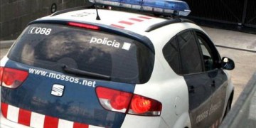 Detingut un caçador al Perelló per matar un gat domèstic