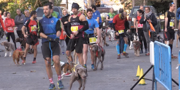 Prop de 130 participants prenen part en la Cursa de l’Aldea Pla dels Catalans 2019