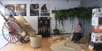 La programació de cursos del Museu de la Pauma compleix 10 anys