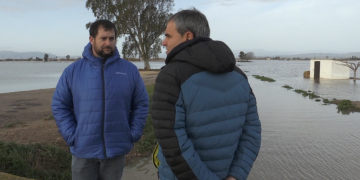 L’entrada d’aigua del mar als arrossars retardarà la propera collita