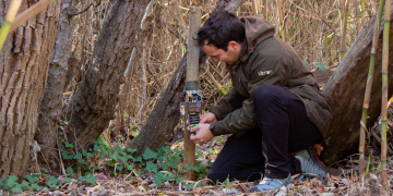 Les llúdrigues crien a la Reserva Natural de Sebes a Flix