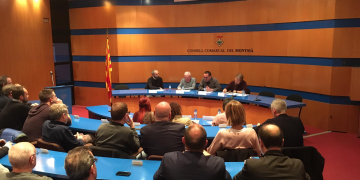 El Síndic reclama al Parlament que apliqui les conclusions de la Comissió del Castor