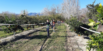 Gran matinal de cros escolar a Tivenys amb uns 200 participants