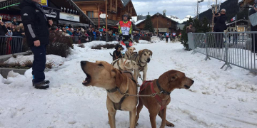 Kiko Vallespí competeix a la Grande Odyssée, als Alps francesos
