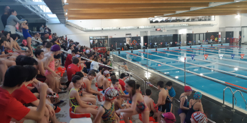 Arranca el campionat comarcal de natació dels jocs esportius escolars del Baix Ebre amb més de cent nedadors