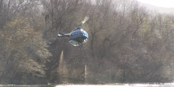 El COPATE realitza el primer tractament de l’any contra la mosca negra