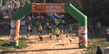 El diumenge es celebrarà el setè Canicròs d’Amposta