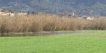 El temporal Glòria fa revifar un antic canal d’aigua de l’Ebre a Ascó