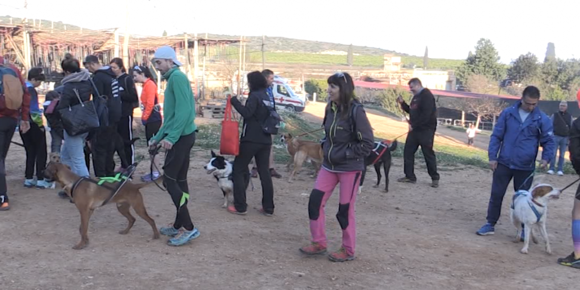 Narcís Franch i Clara Bosch guanyen la general del Circuit ebrenc de canicròs