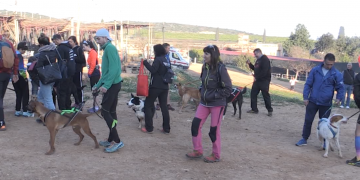 Narcís Franch i Clara Bosch guanyen la general del Circuit ebrenc de canicròs