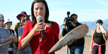 Preocupació per la supervivència de les nacres al Delta degut al trencament del Trabucador pel Glòria
