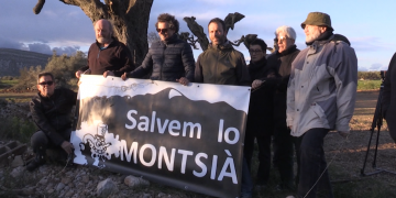Salvem Lo Montsià denuncia un nou espoli d’oliveres monumentals