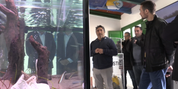 Una exposició mostra el problema de la brossa marina al Delta de l’Ebre