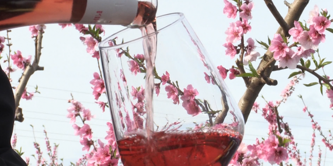 La Ribera d’Ebre es vesteix de gala per la floració