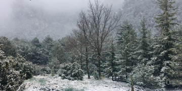 Nevada primaveral al Port