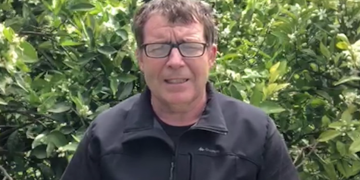 ERC de l’Aldea donarà a una entitat les indemnitzacions per assistències dels regidors