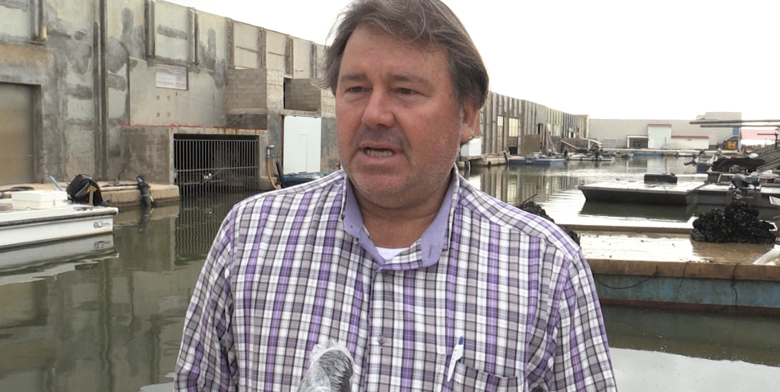 Qualitat ‘excepcional’ del musclo del Delta pels efectes del Glòria