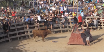 El coronavirus posa en perill la temporada de festes amb bous a l’Ebre