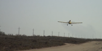 El Govern aprova una subvenció de 850.000 euros per combatre la mosca negra i el mosquit tigre