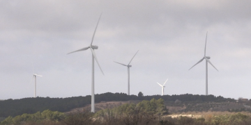 La DO Terra Alta insta als ajuntaments a aprovar mocions en contra dels parcs eòlics