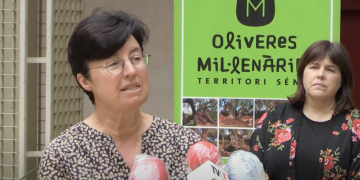 La #RdP: La Mancomunitat Taula del Sénia valora la nova llei catalana d’oliveres monumentals