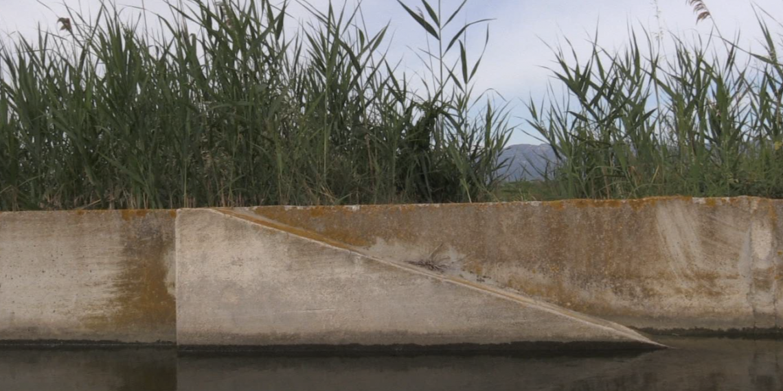 Els caçadors instal·len 113 rampes als canals del delta de l’Ebre per salvar aus