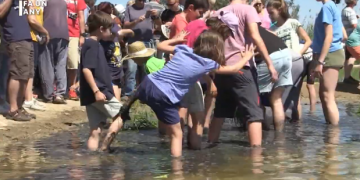 Fa un any: XXII Festa de la Plantada d’Amposta