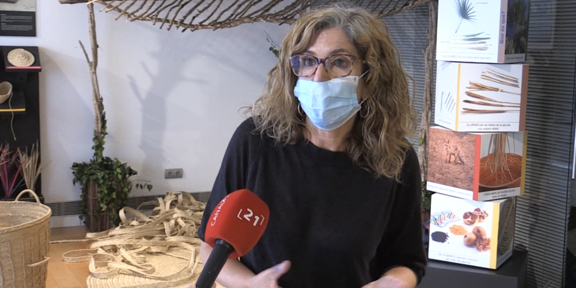 El Museu de la Pauma del Mas de Barberans torna a l’activitat