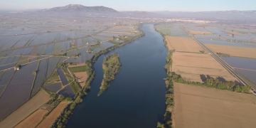 Llum verd a l’Agència de la Natura de Catalunya