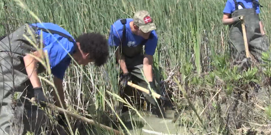Les activitats de lleure per a infants i joves comptaran amb responsables de prevenció i higiene