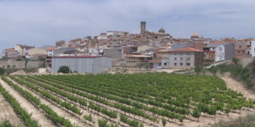 Paladella ordena ‘extremar les precaucions’ contra el coronavirus a Batea