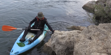 El caragol maçana es troba a nivells d’eradicació al tram final de l’Ebre