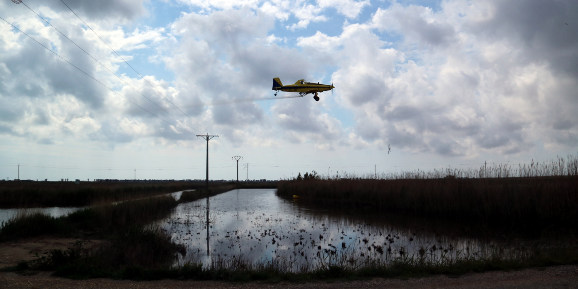 El COPATE comença dilluns els tractaments contra els mosquits als arrossars del Delta