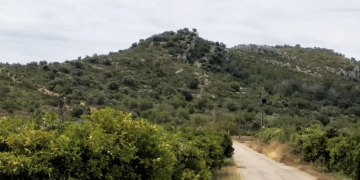 Amposta excavarà al jaciment ibèric de l’Antic per conèixer els orígens