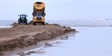 Infosa alerta que la colònia de flamencs del Delta podria ‘estar en perill’ si el trencament del Trabucador atura l’activitat salinera