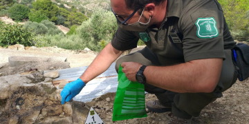 Denuncien el propietari d’una caseta de camp de Tortosa per enverinar gossos amb esquers