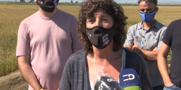 Teresa Jordà considera de ‘gran miracle’ la recuperació dels arrossars després del Glòria