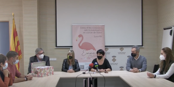 La #RDP: Col.laboració dels consells comarcals amb el Projecte Emma