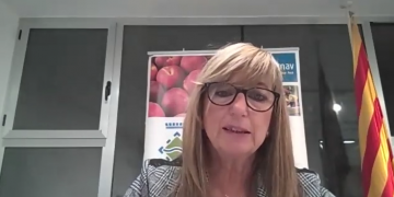 La Ribera d’Ebre impulsa un pla de reactivació socioeconòmica per afrontar la Covid