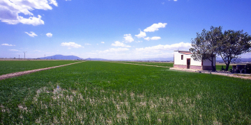 Les Terres de l’Ebre, de nou entre les cent millors destinacions sostenibles del món