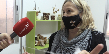 Pilar Girbes recupera la tradició de conrear i filar cotó al delta de l’Ebre