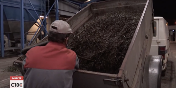 #10COMARQUES: La producció d’oli cau a la meitat