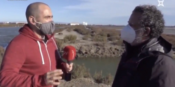 #BenTrobats – Alt nombre de flamencs esta tardor al PN del Delta