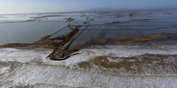 El Ministeri per a la Transició Ecològica invertirà en estudis sobre l’aportació de més sediments a l’Ebre