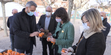 El programa de fruita a les escoles reparteix clementines a més de 254.000 alumnes