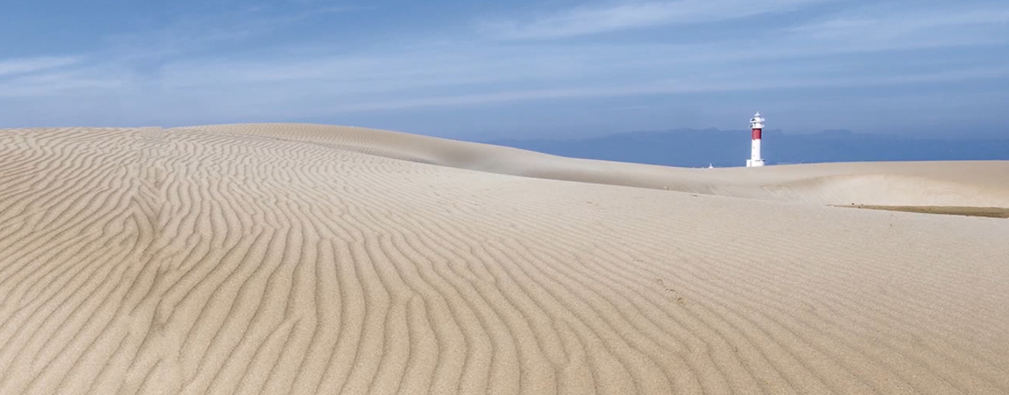 ‘El delta de l’Ebre, el plaer dels sentits’, nou llibre de Vicent Pellicer