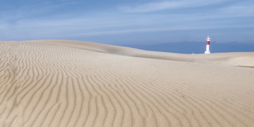 ‘El delta de l’Ebre, el plaer dels sentits’, nou llibre de Vicent Pellicer