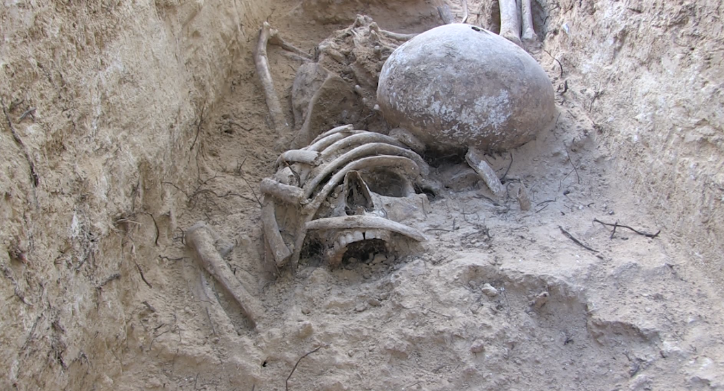 Troben 61 fosses de la Guerra Civil al Mas de Santa Magdalena de Móra d’Ebre