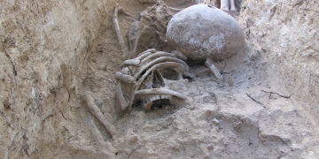 Troben 61 fosses de la Guerra Civil al Mas de Santa Magdalena de Móra d’Ebre