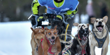 Kiko Vallespí anuncia que no participarà a la Grande Odyssée